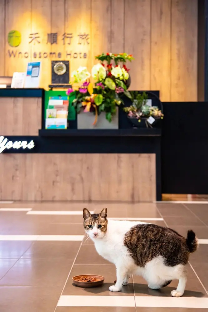Foto - Wholesome Hotel