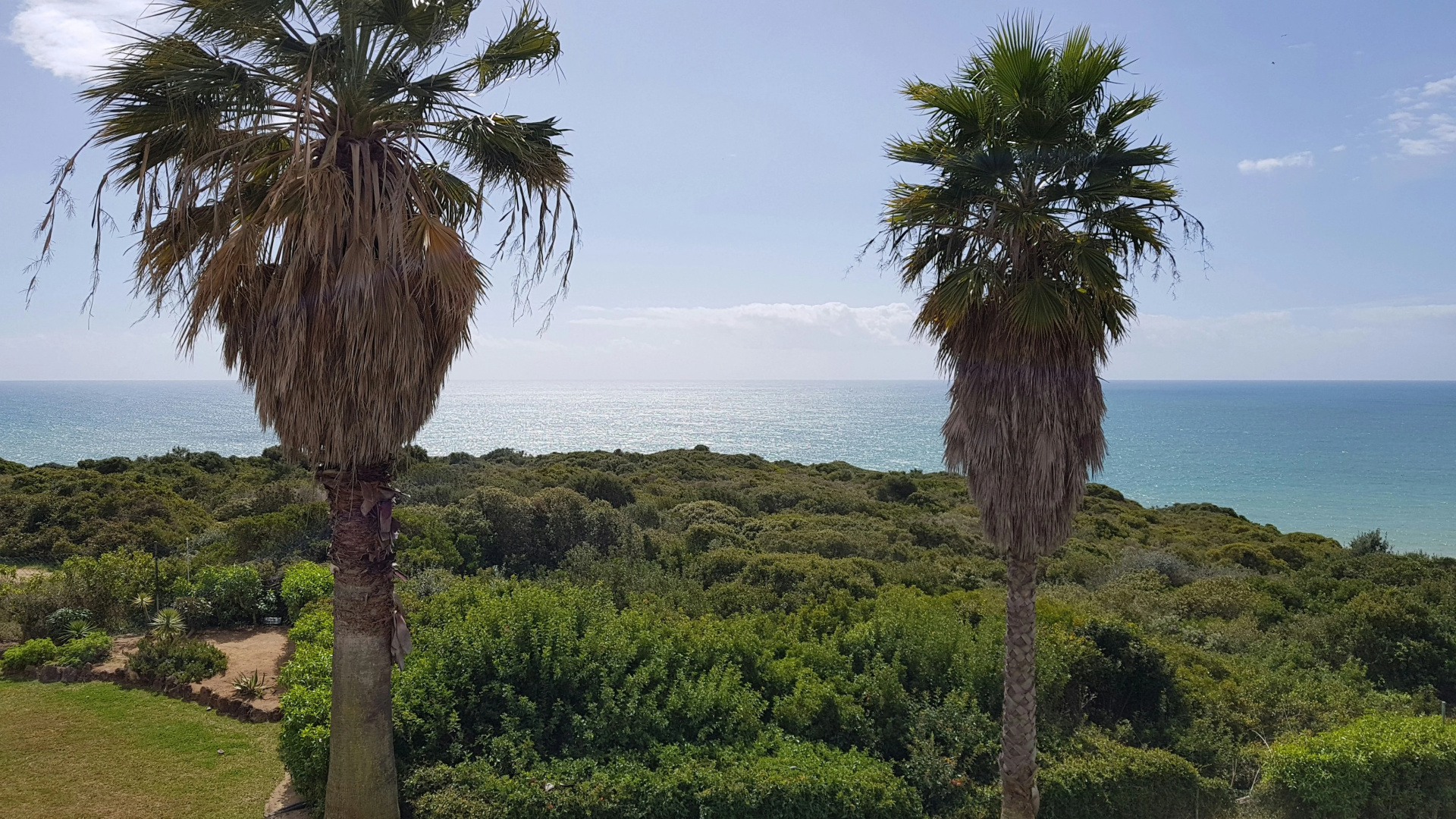 Photo - Pestana Palm Gardens