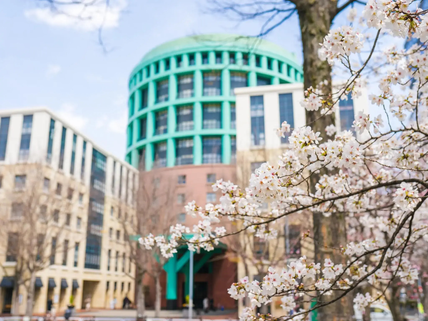 Foto - The Basics Fukuoka