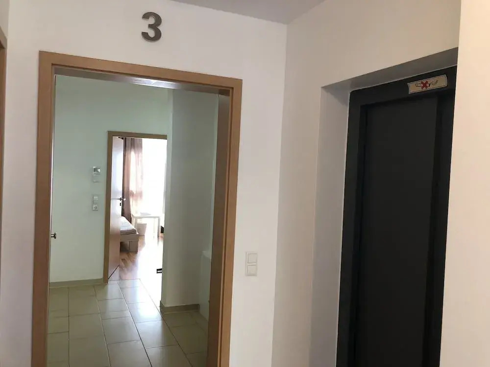 Photo - Sahara Falcon