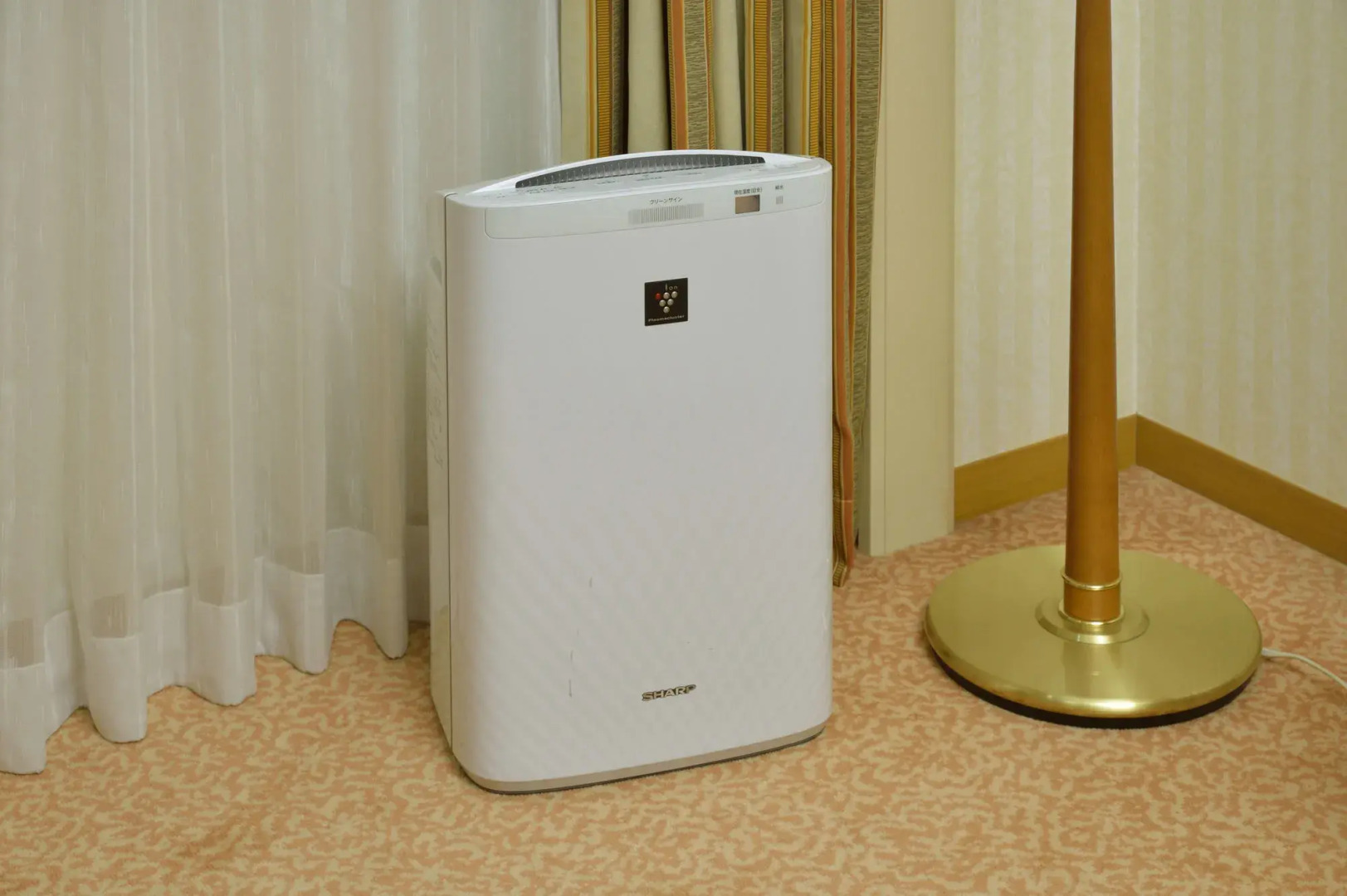 Foto - Crest Hotel Kashiwa