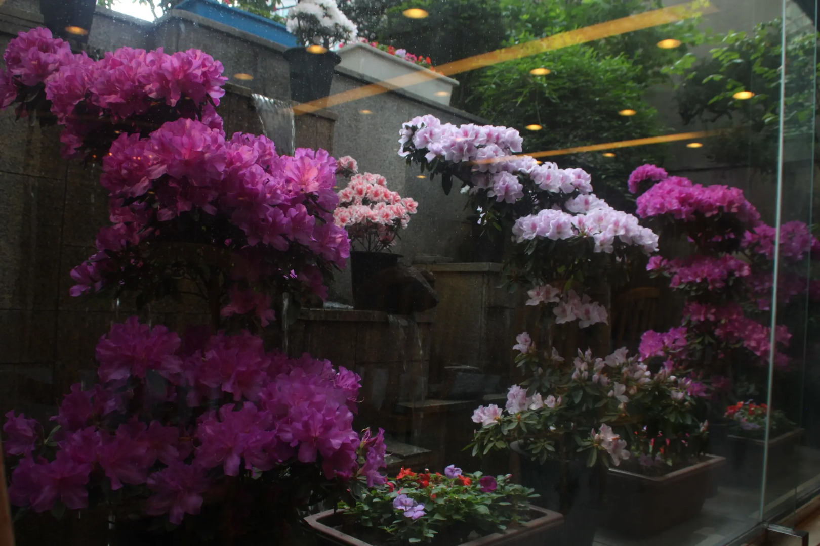 Photo - Seoul Rex Hotel