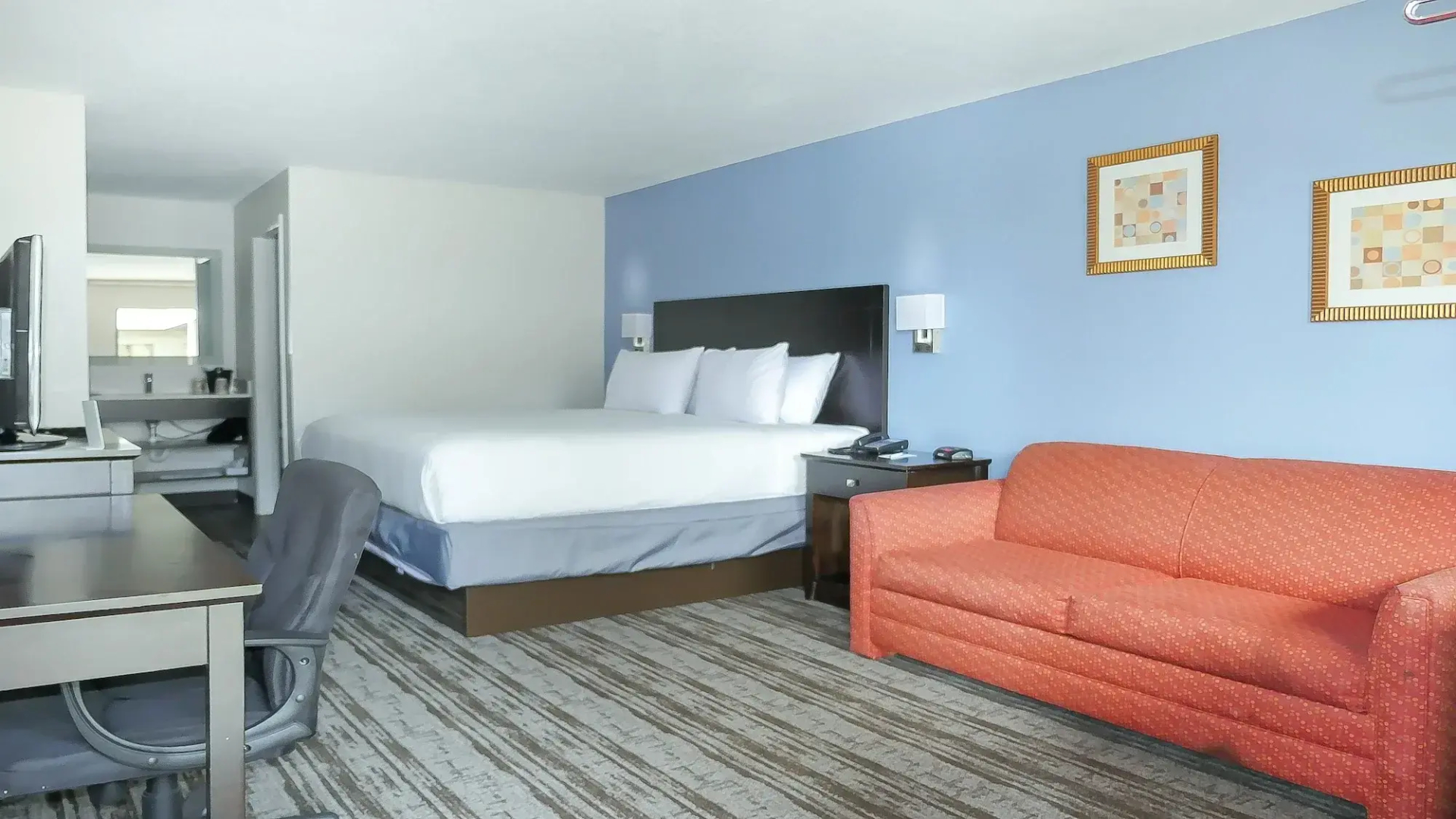 Foto - Hotel South Tampa & Suites