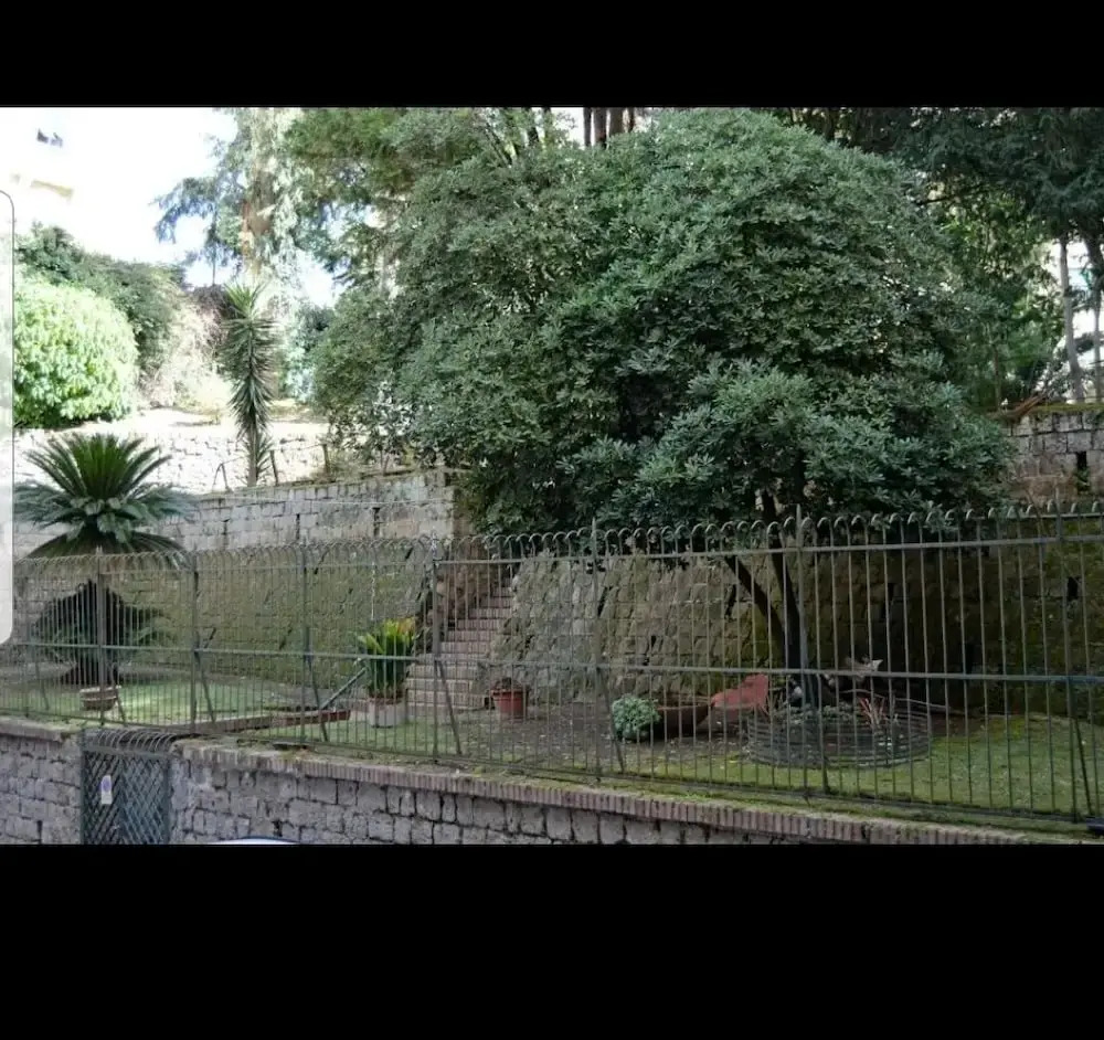 Foto - Napoliseason Rooms & Breakfast