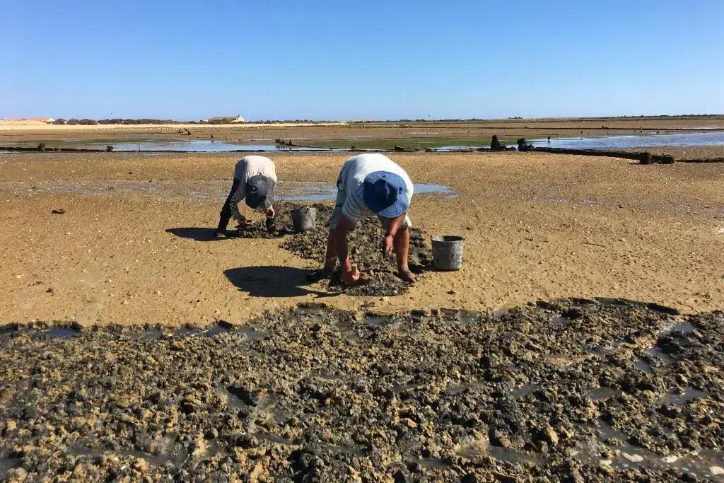 Foto - Bordoy Grand House Algarve