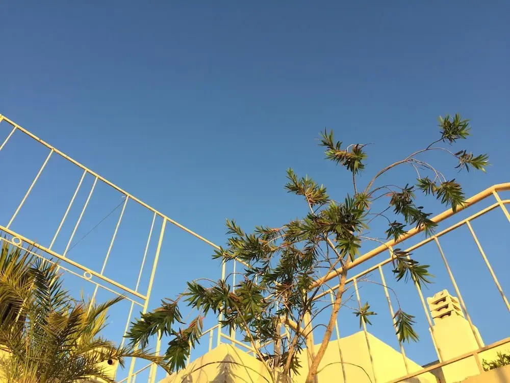 Foto - Riad Tizwa Fes