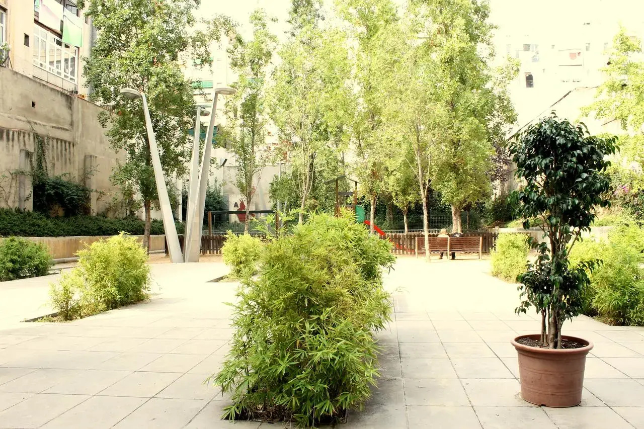 Foto - Evenia Rossello