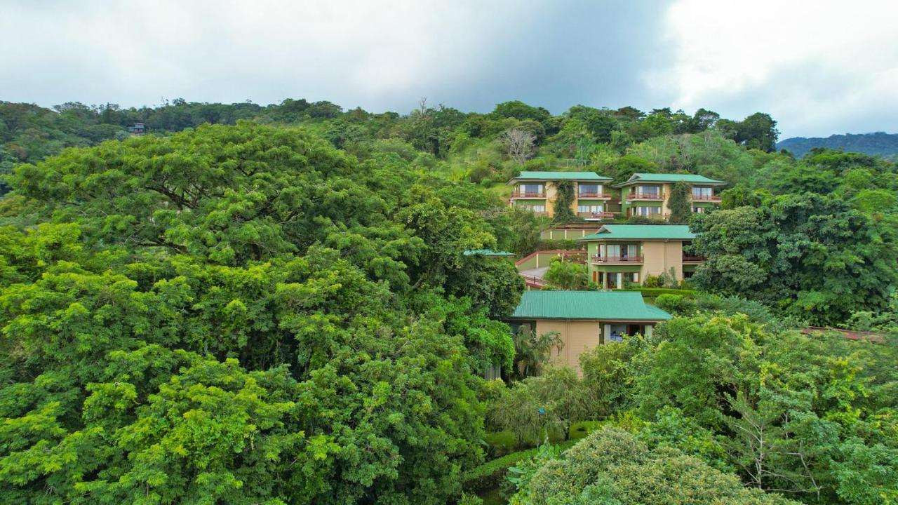 Foto - Ficus Sunset Suites