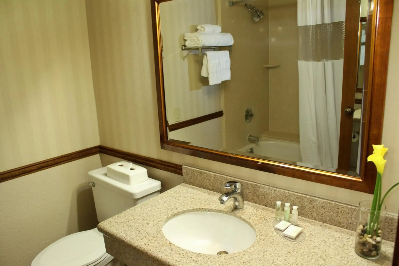 Photo - University Square Hotel