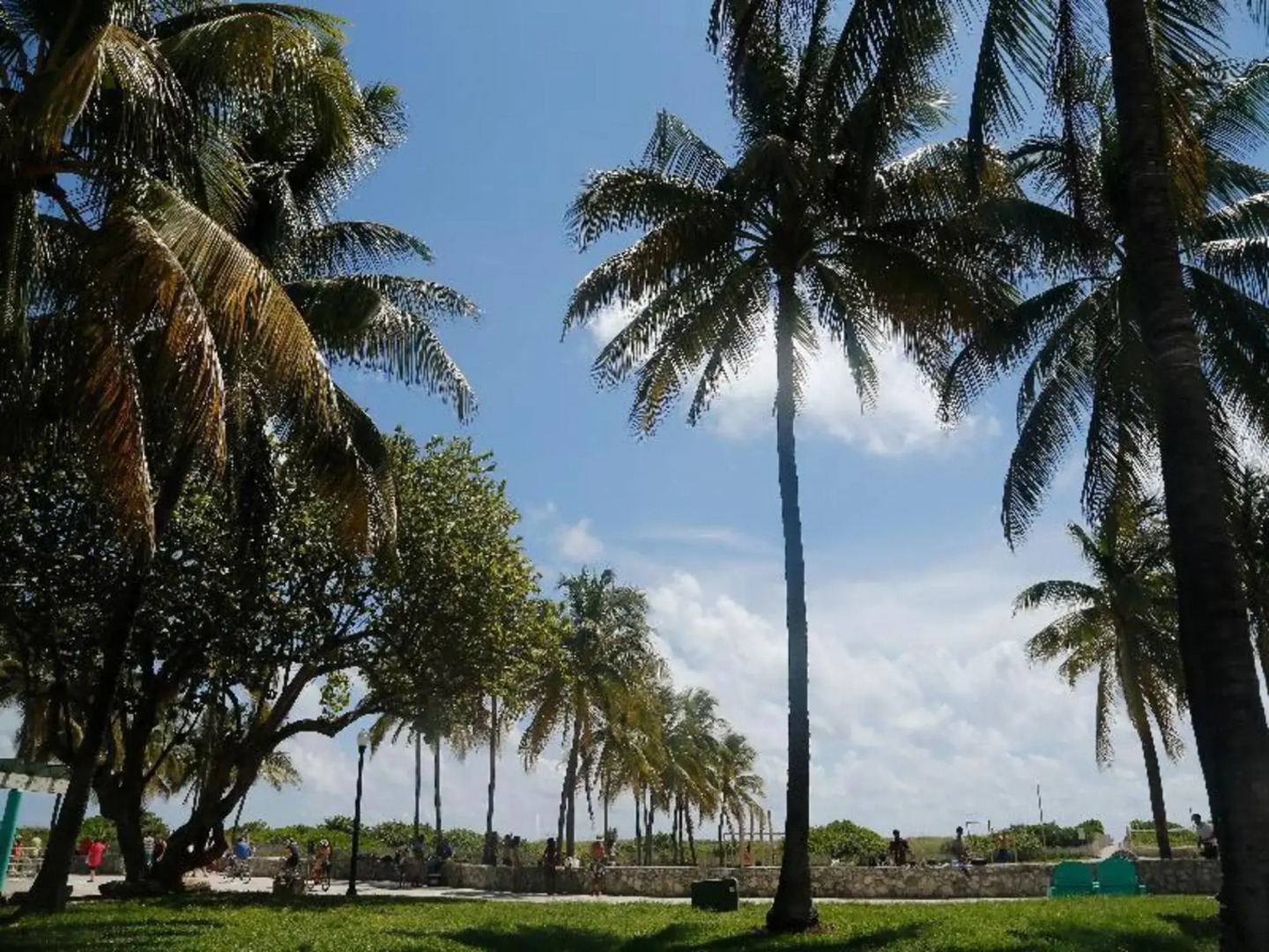 Photo - Waldorf Towers South Beach