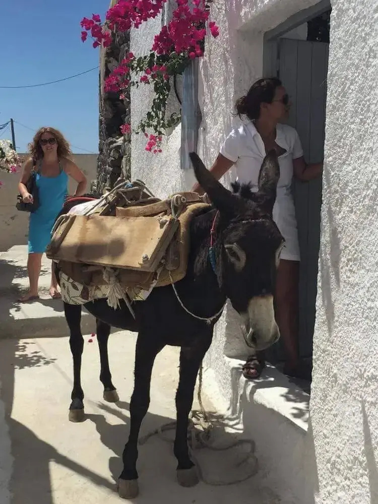 Photo - 1705 Castle House