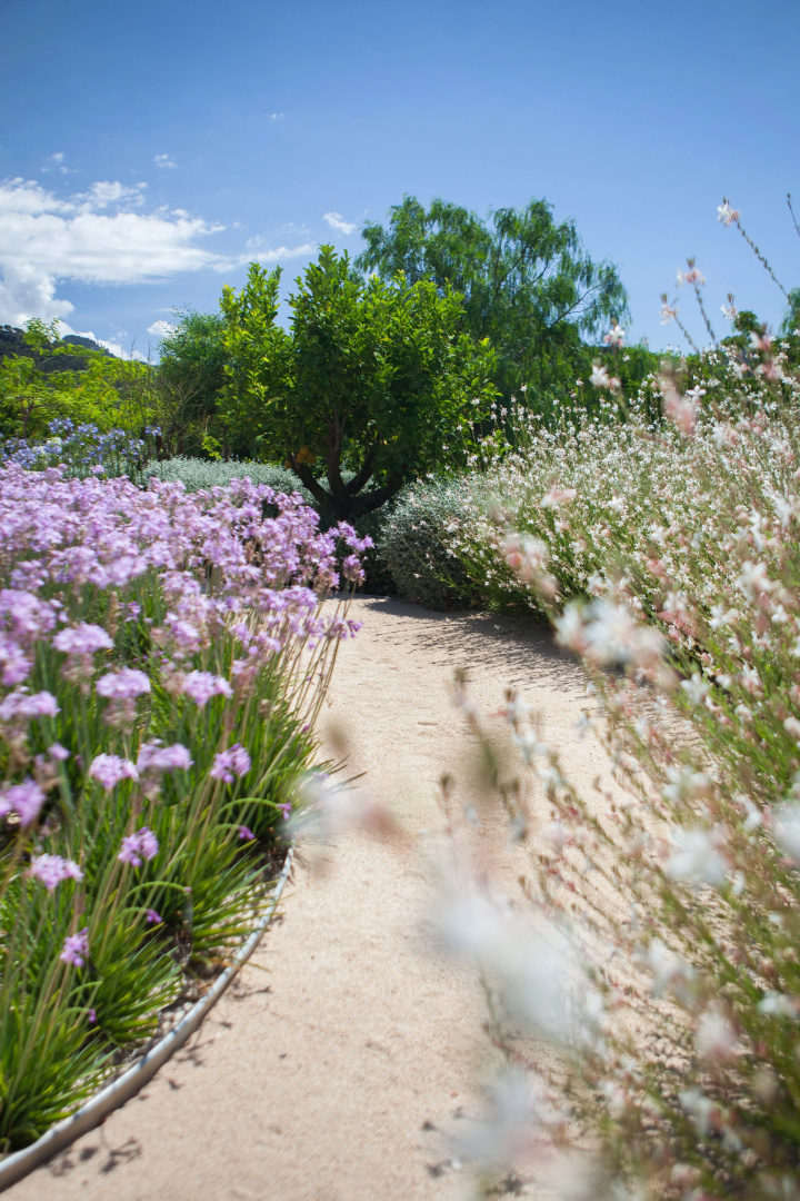 Foto - Castell Son Claret - The Leading Hotels of the World