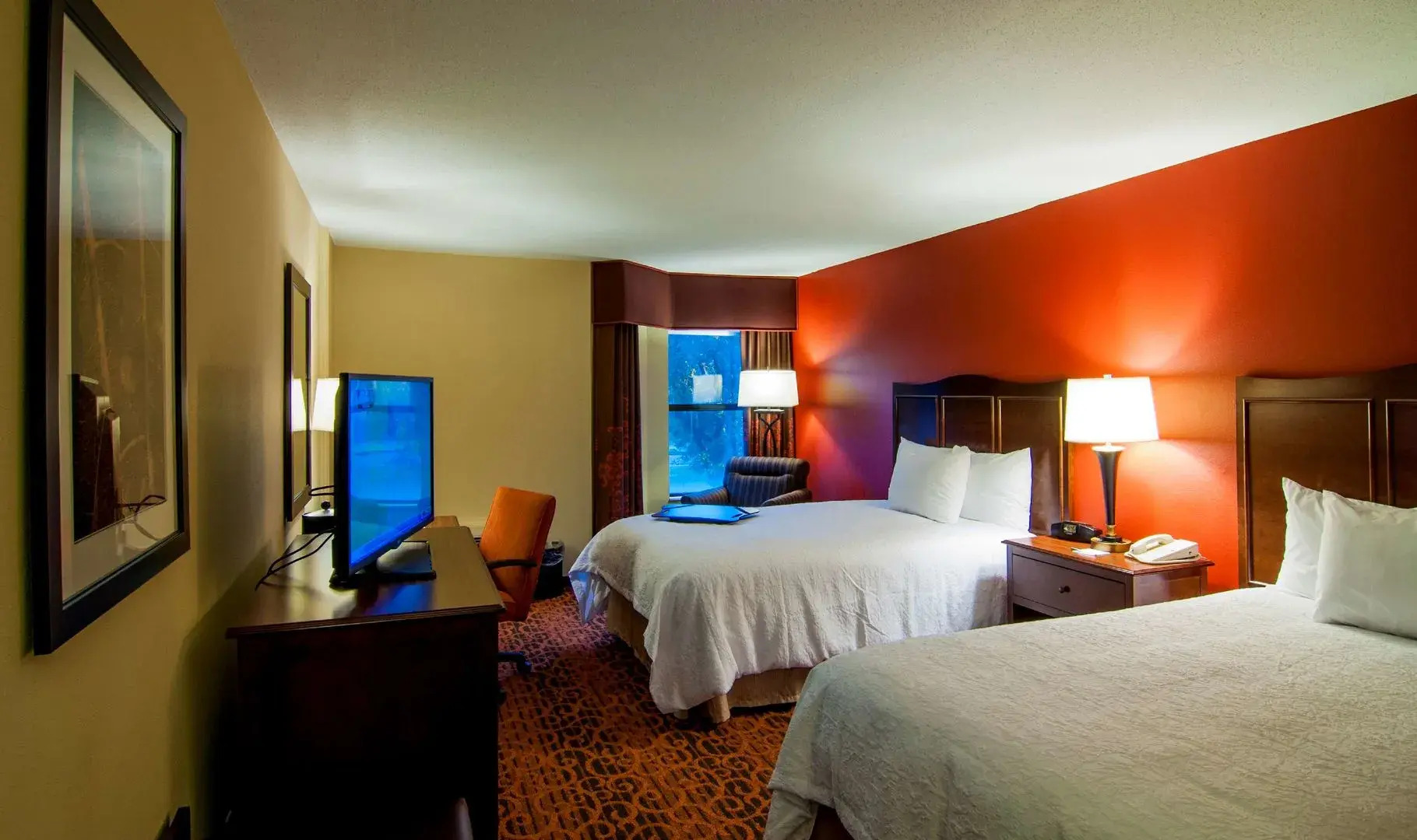 Photo - Hampton Inn & Suites Tampa-North