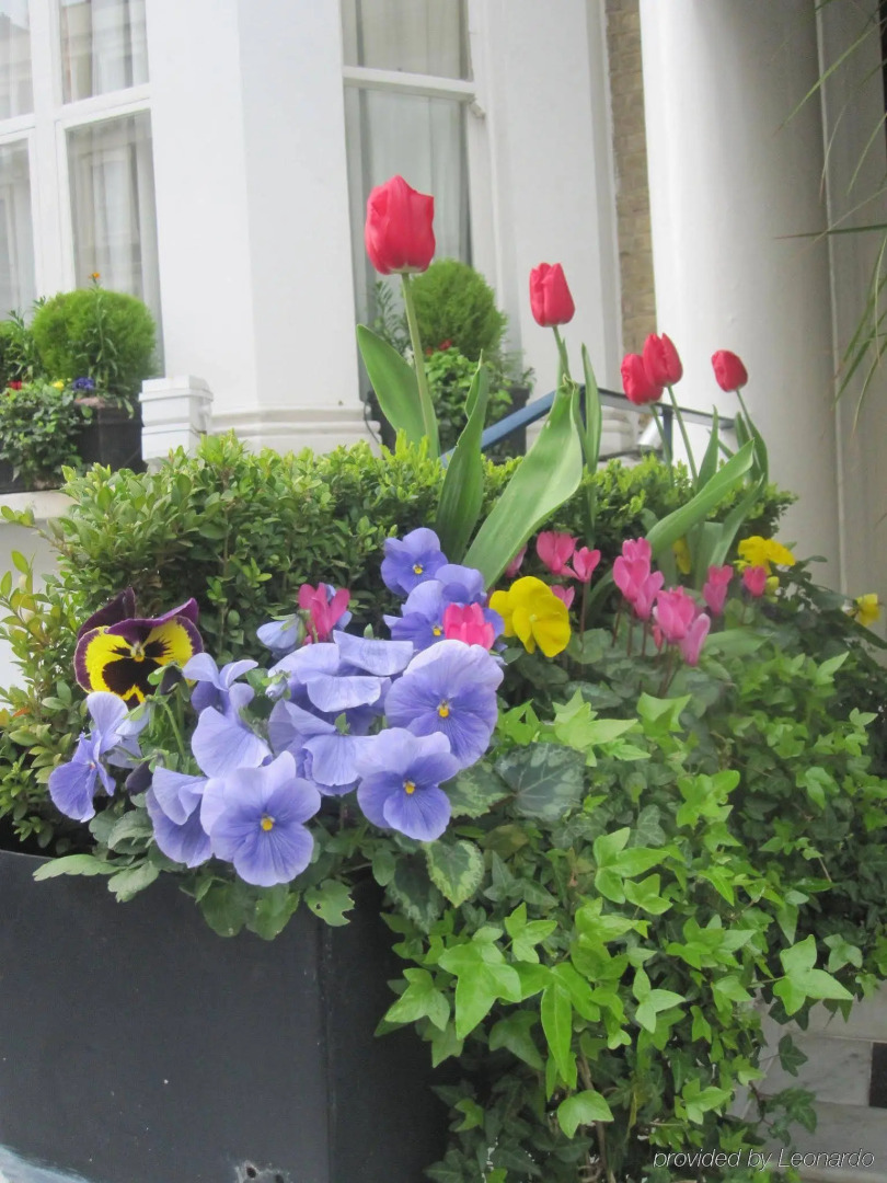 Photo - Oxford Hotel