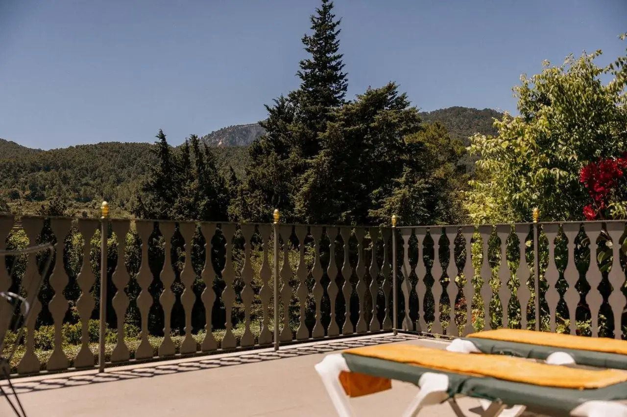 Photo - Agroturismo Son Galceran