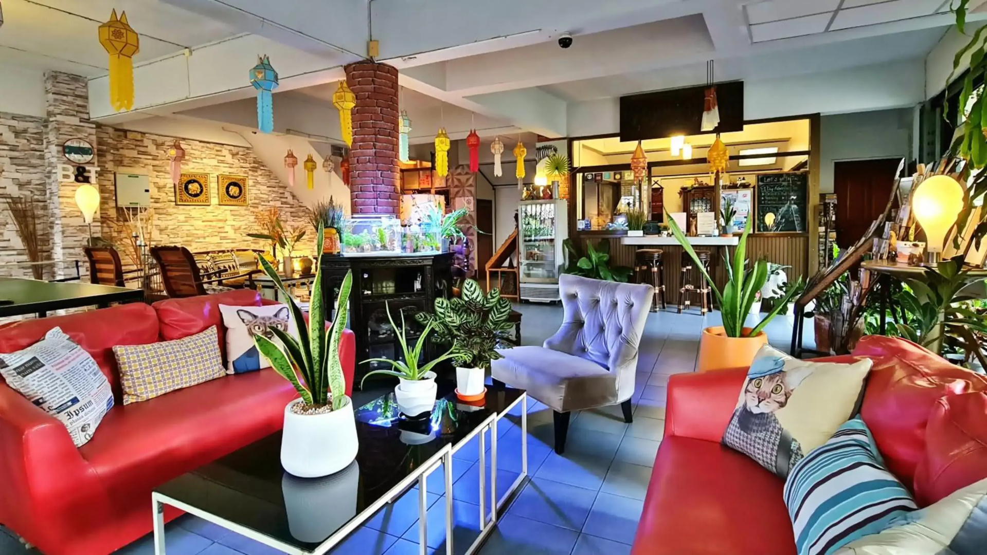 Photo - Bed and Terrace Guesthouse Chiang Mai