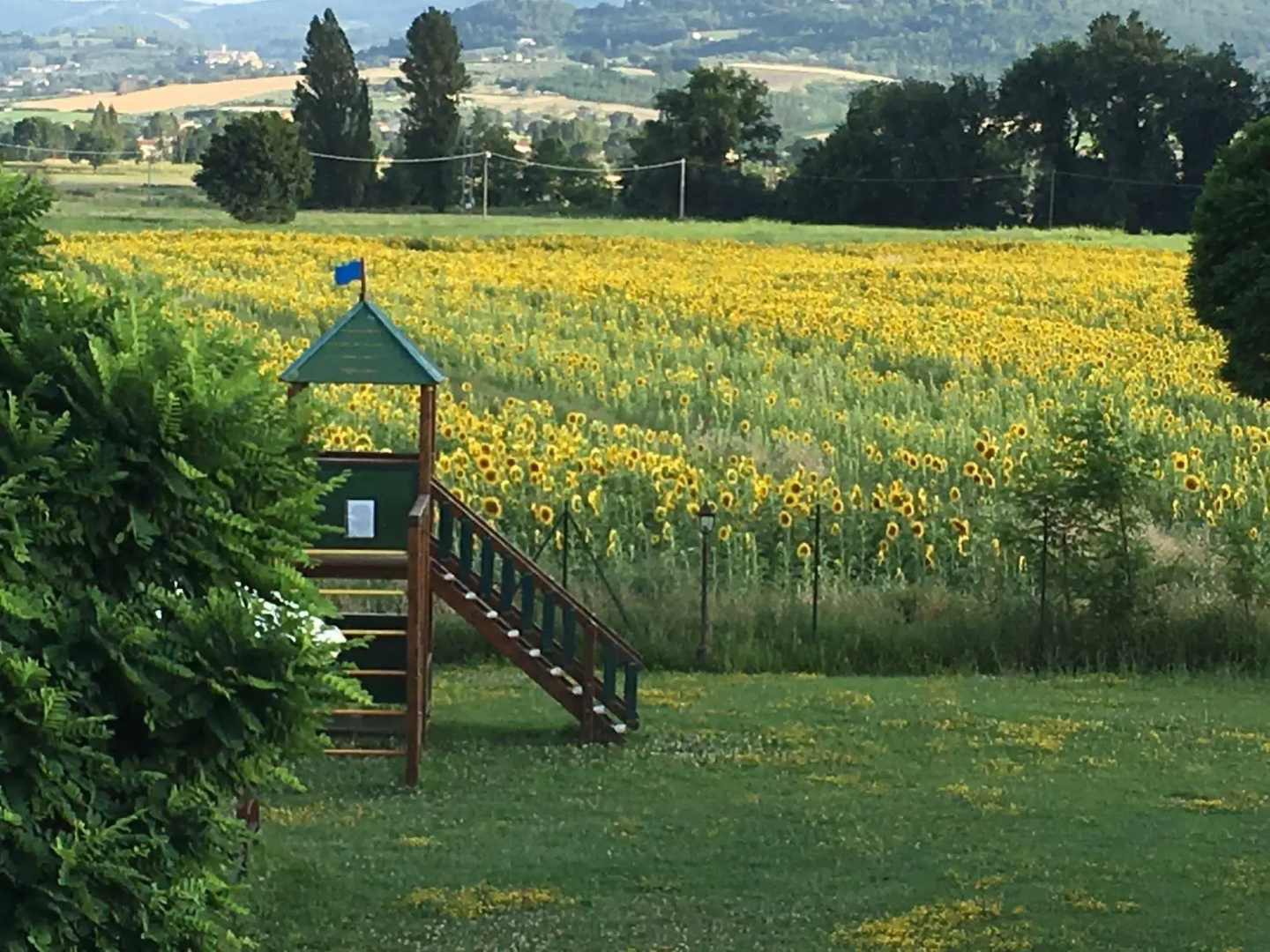 Photo - Agriturismo Le Rondini di Francesco di Assisi