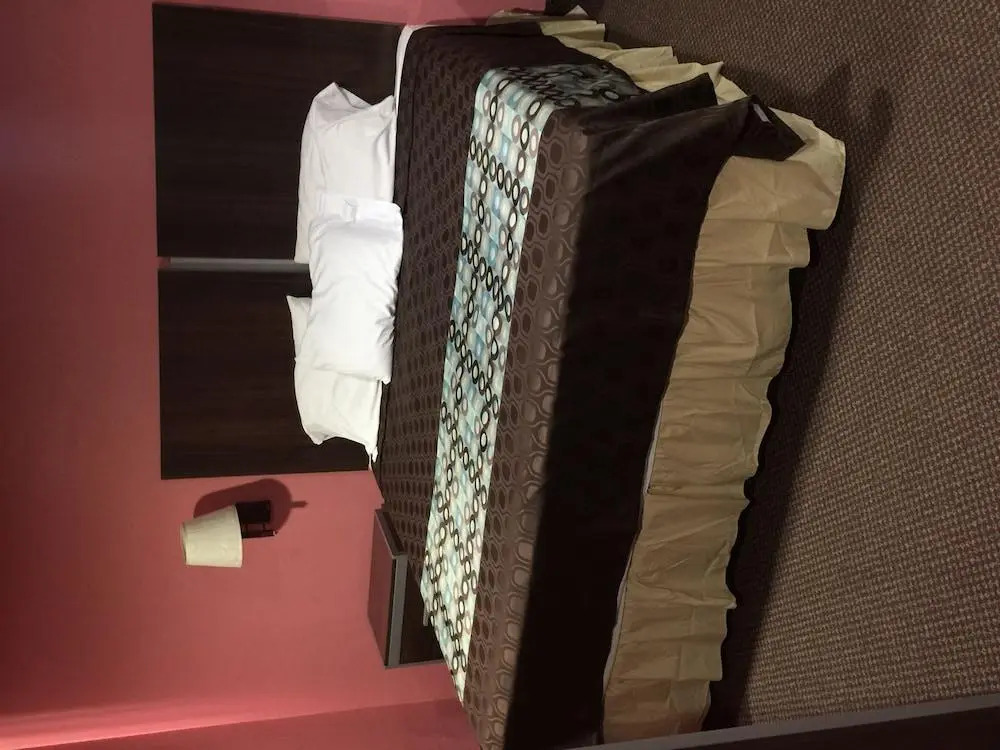 Foto - Scottish Inn & Suites Hobby Airport