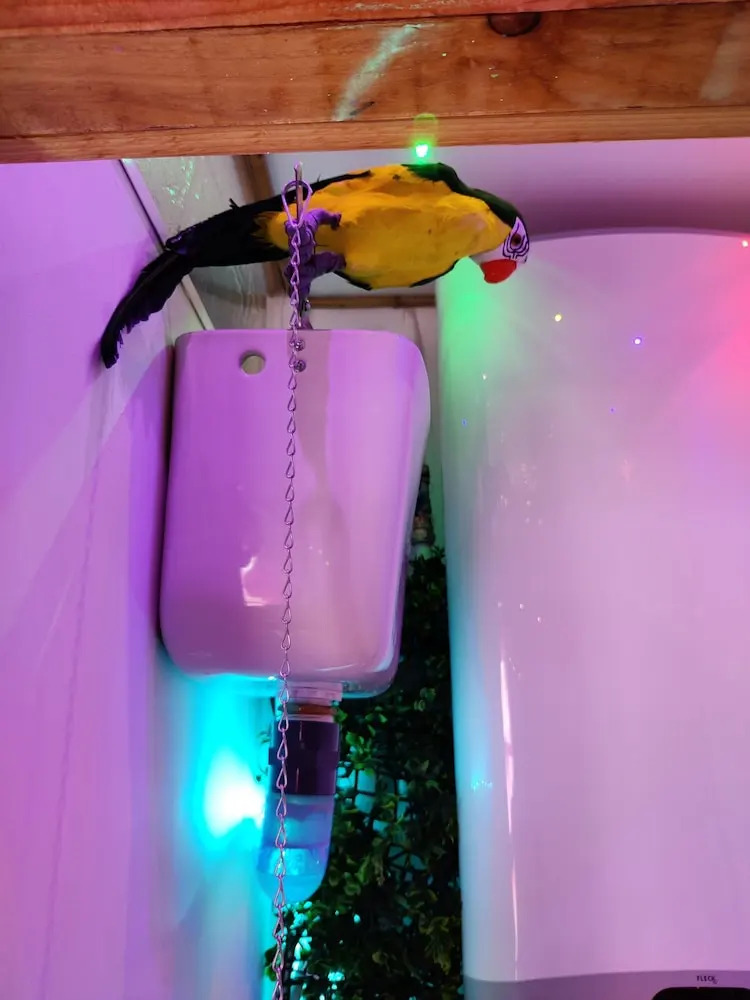 Foto - Wonder Room Paraiso Magico Habitacion a 2 min de la playa