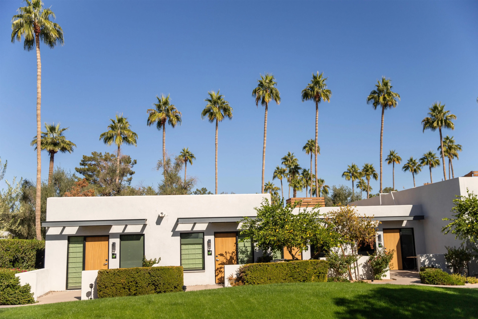 Foto - Andaz Scottsdale Resort & Bungalows