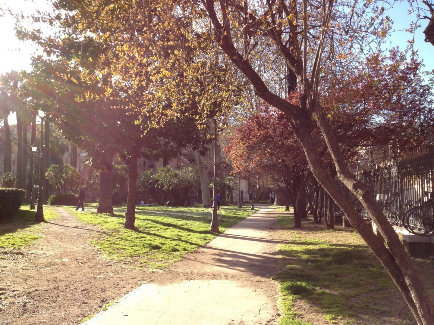 Photo - Girasole Guesthouse