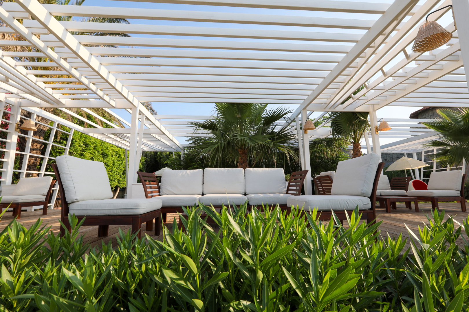 Photo - Sherwood Exclusive Lara