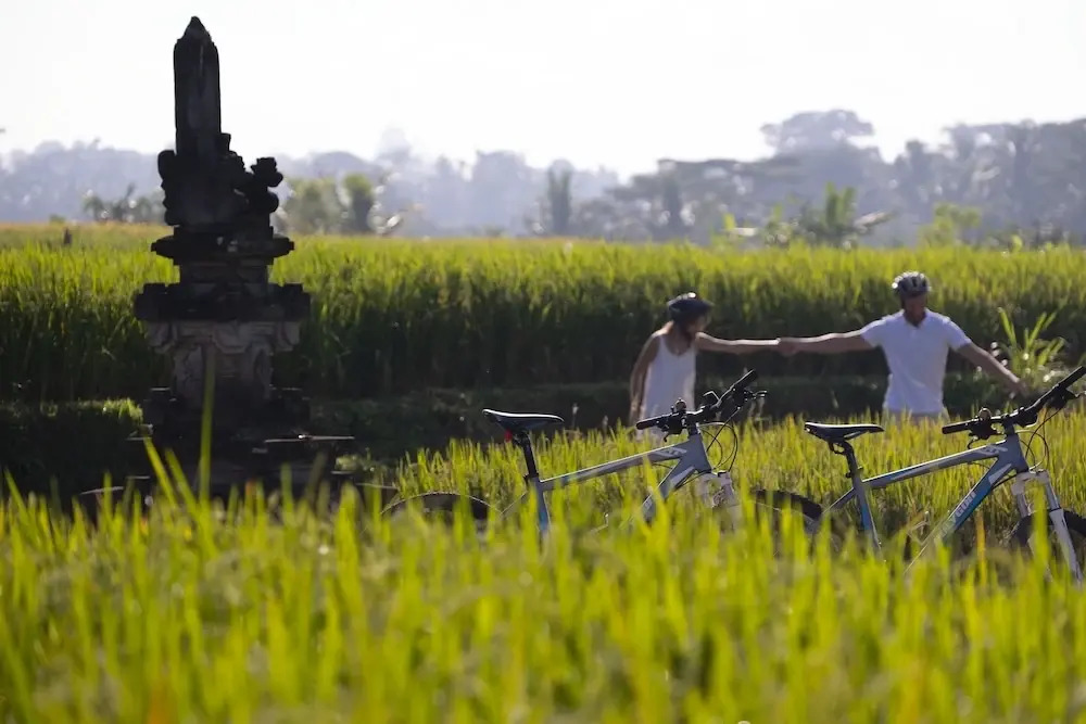 Foto - The Samaya Ubud