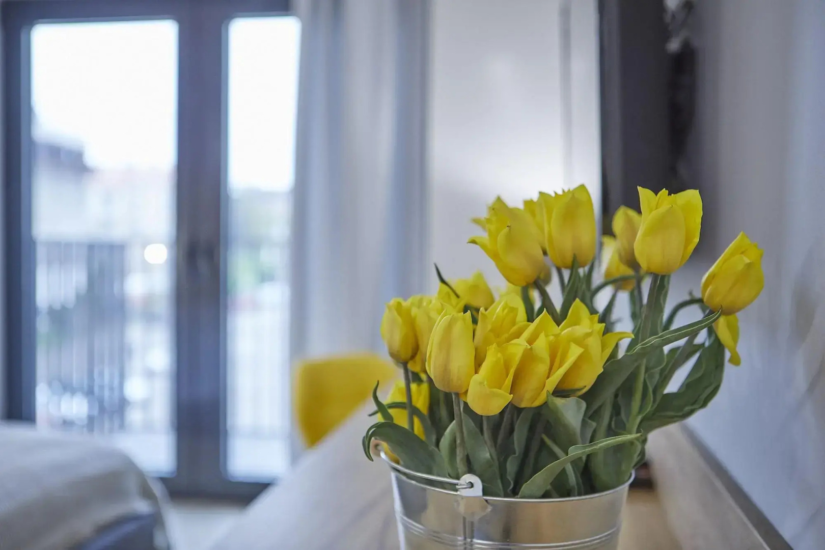 Foto - RAJSKA 3 by PI Apartments