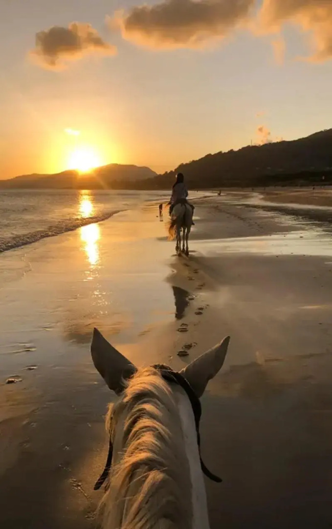 Photo - Bora Boutique - Adults Only