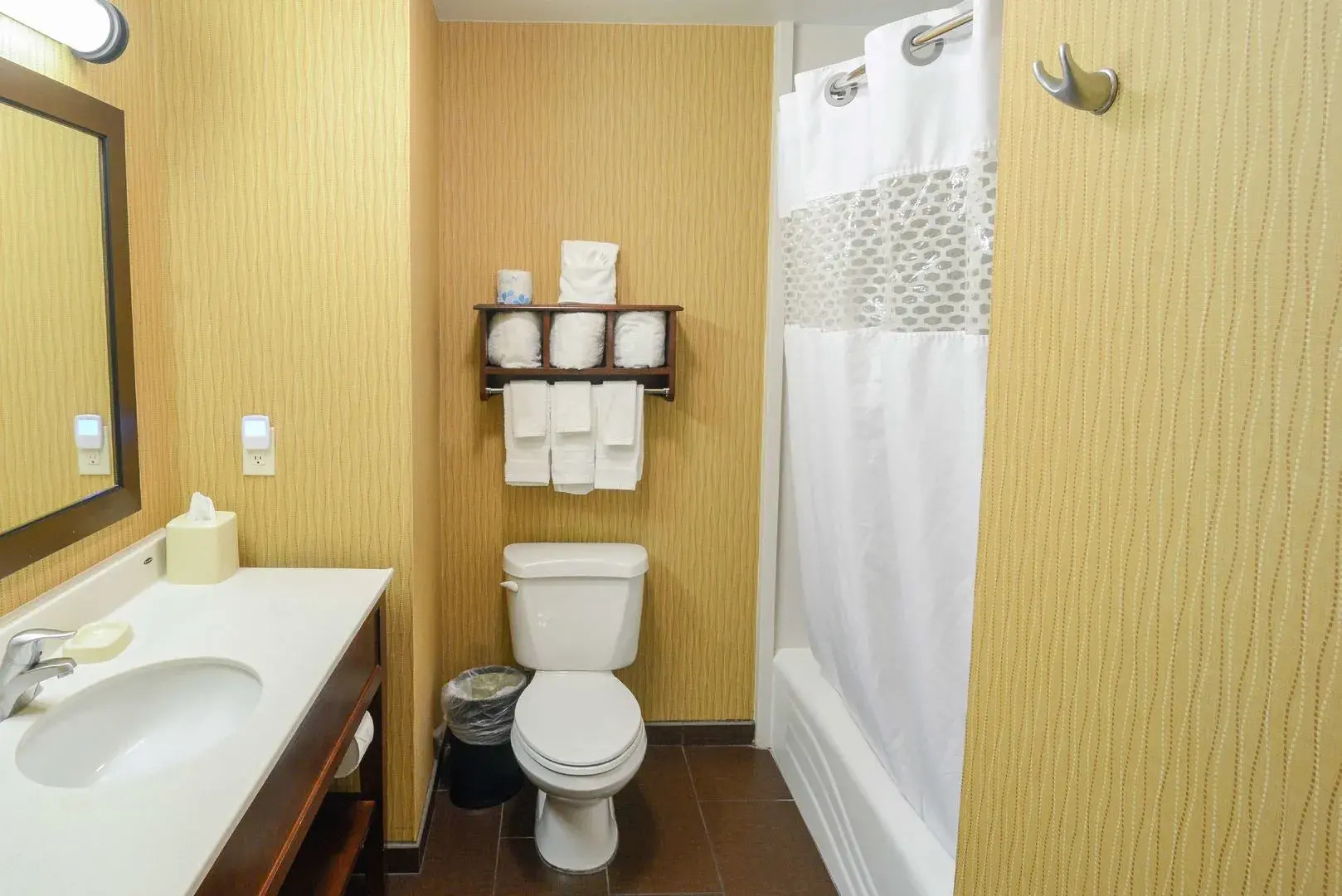 Photo - Hampton Inn & Suites Tampa-North
