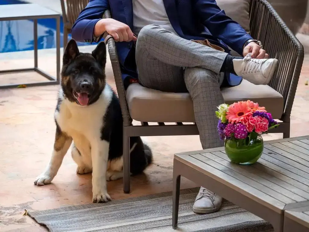 Photo - Dominion Polanco