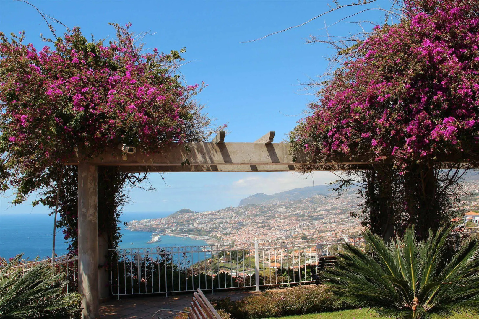 Foto - Ocean Gardens