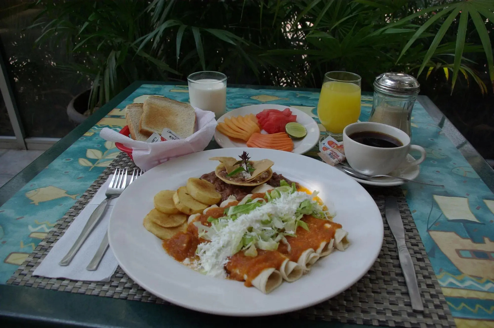 Foto - Hotel Delfines Acapulco by NG Hoteles