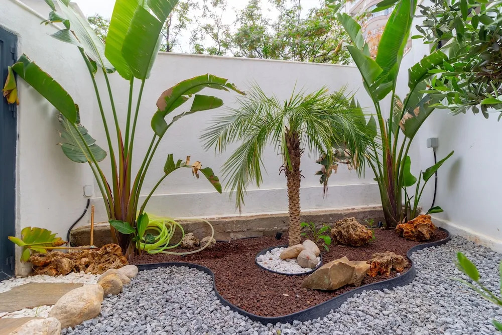 Foto - Alex Suites Lara