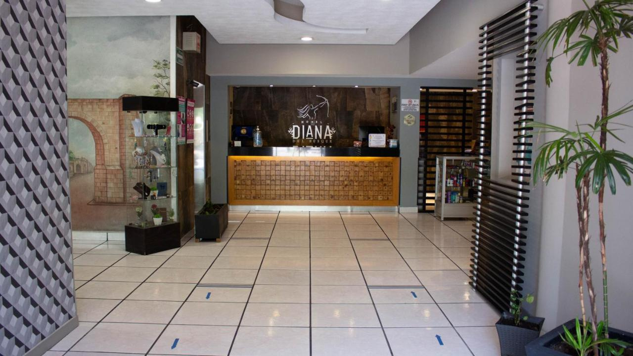 Foto - Hotel Diana del Bosque by DOT Urban