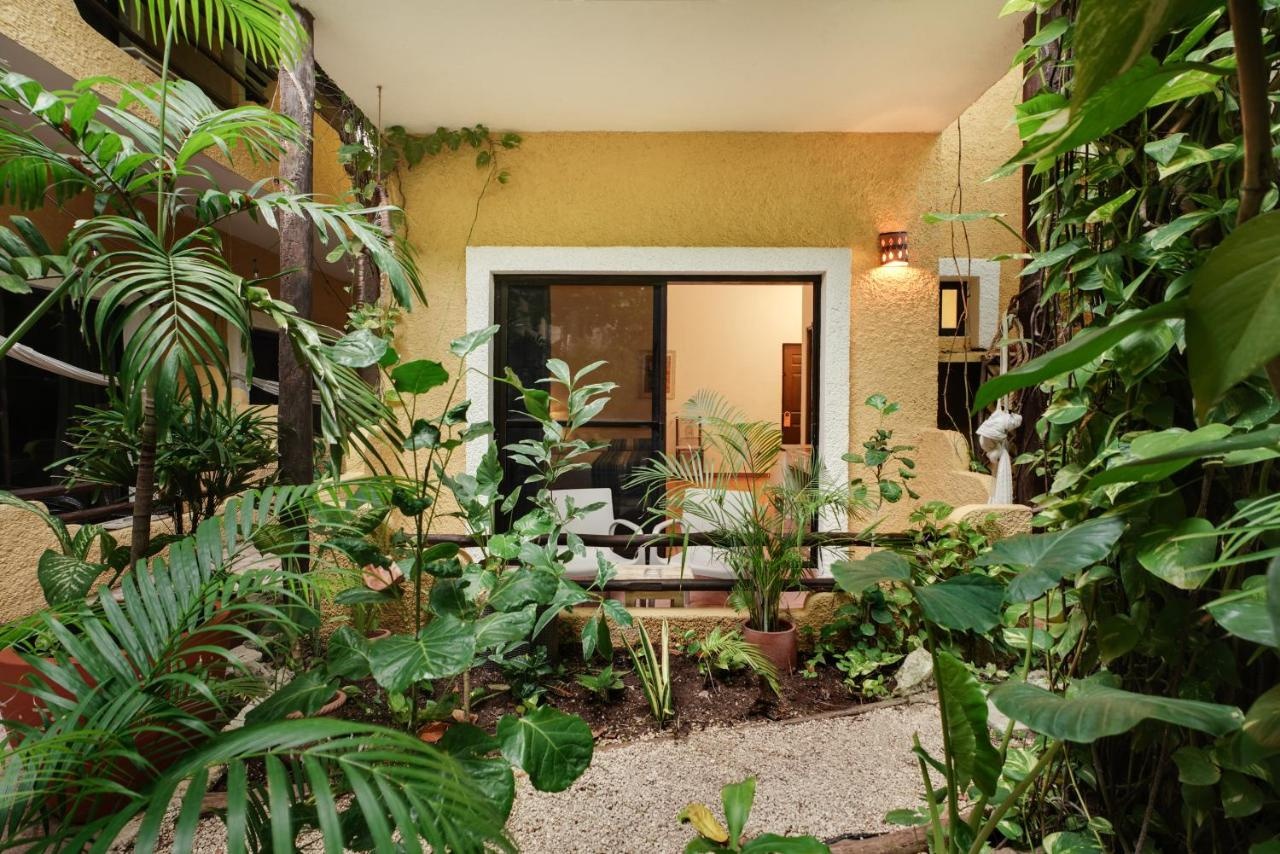 Foto - Hotel Casa Colibri