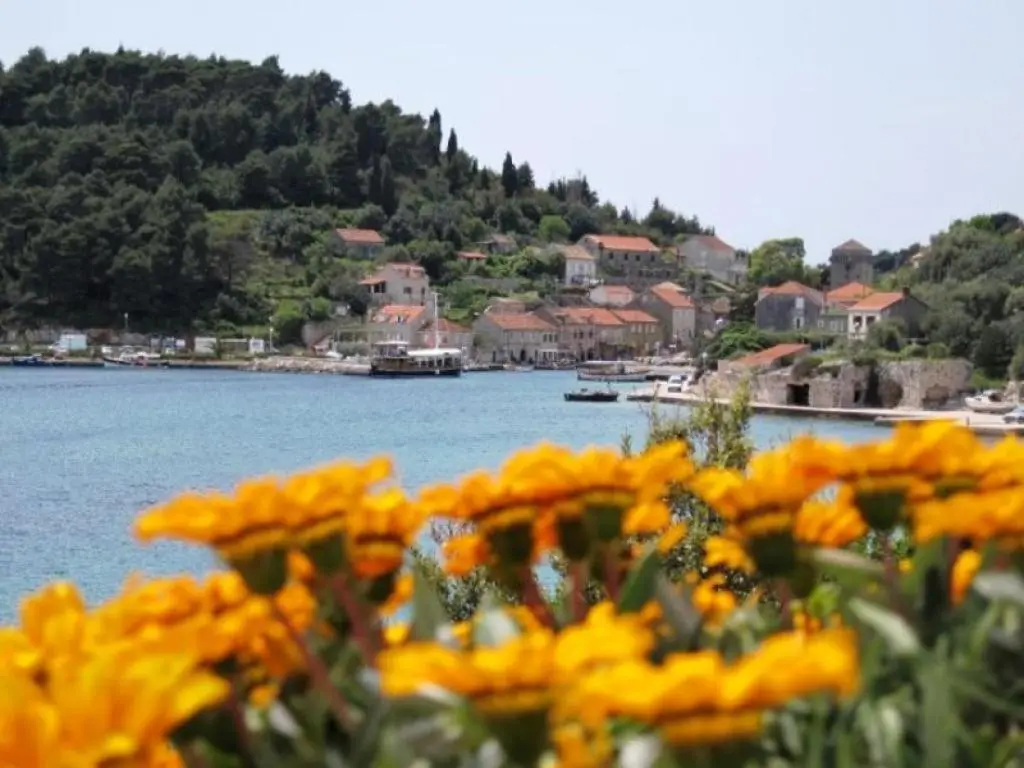 Photo - Guest House Simunovic