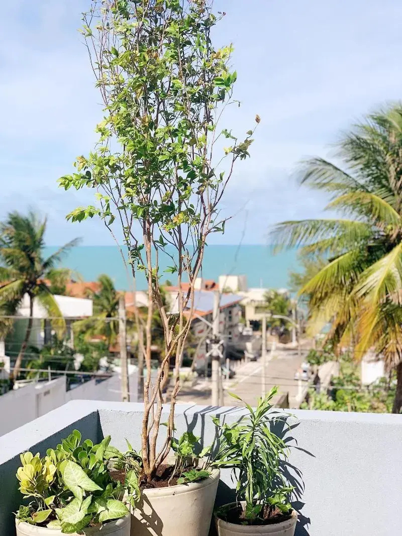 Foto - Liiv Hub – Natal Ponta Negra