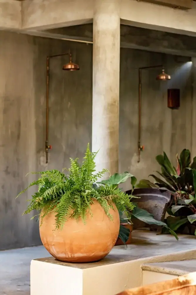 Photo - Raíz Hotel Boutique