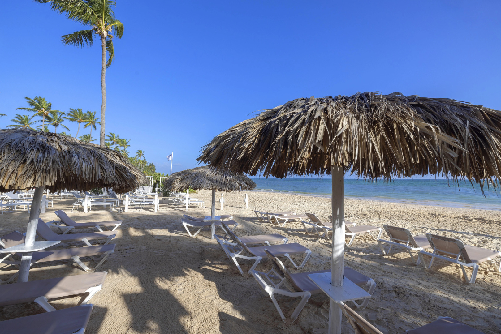 Foto - Hotel whala!bávaro - All Inclusive