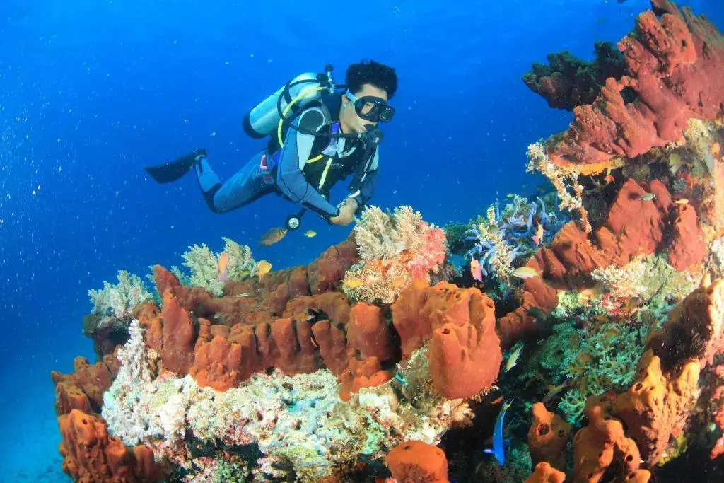 Foto - Trijaya Guest House Pemuteran