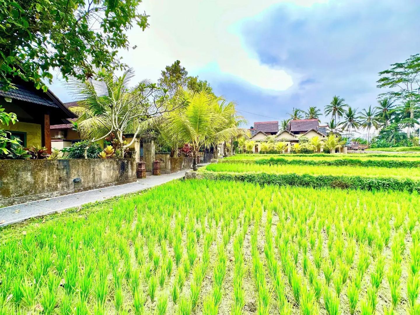 Foto - Dupa Ubud