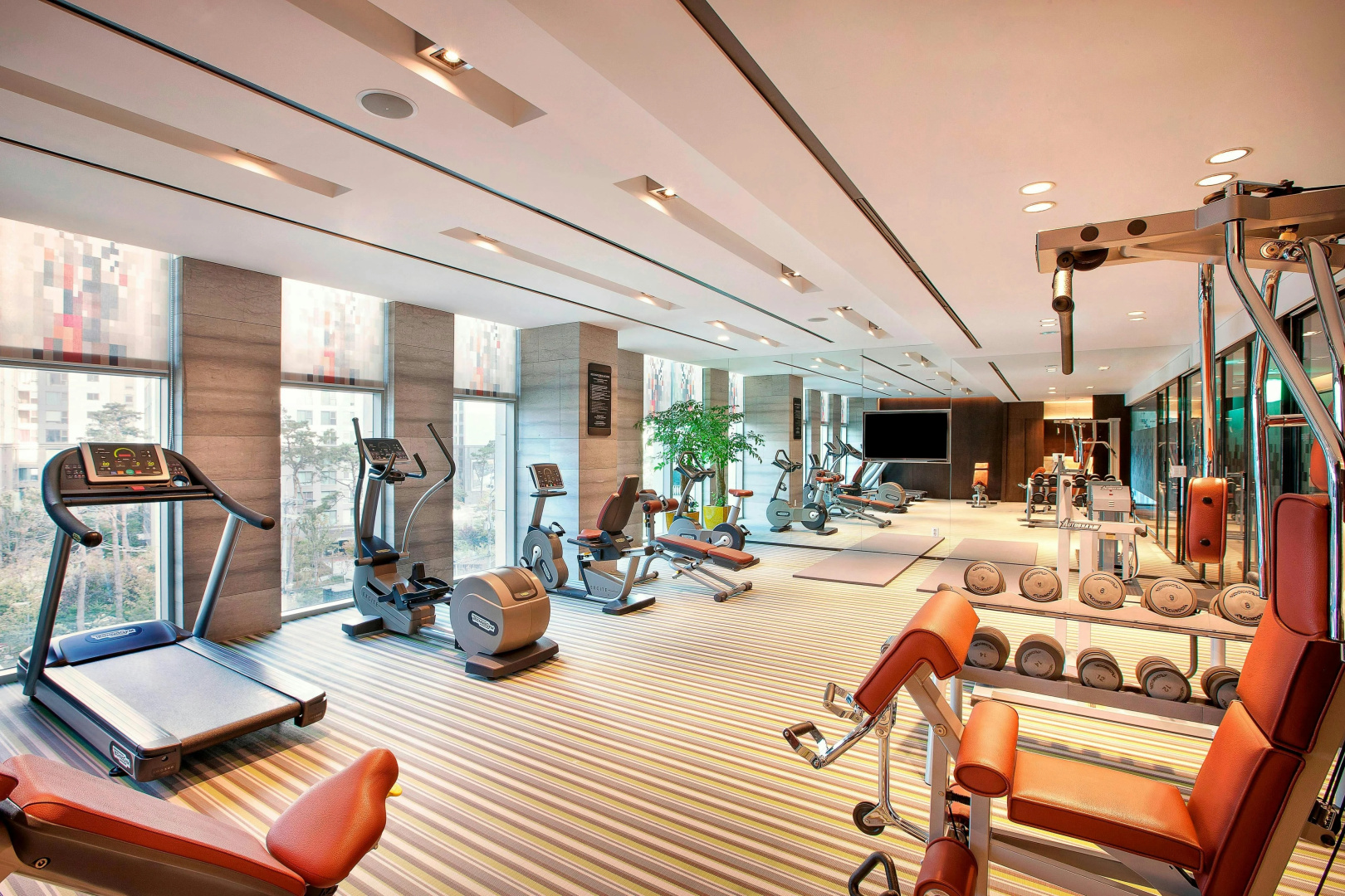 Photo - Aloft by Marriott Seoul Gangnam
