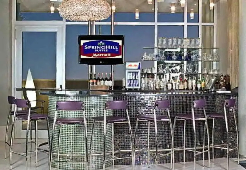 Foto - SpringHill Suites by Marriott Philadelphia Airport / Ridley Park