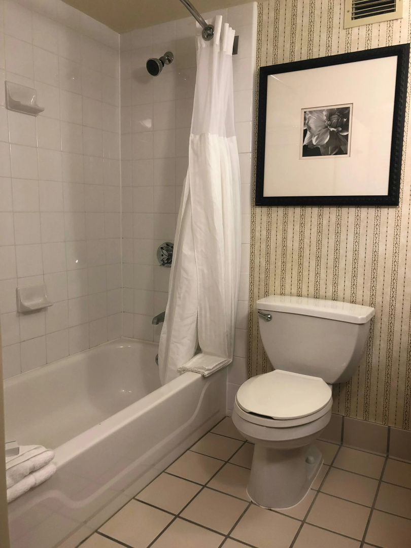 Foto - Hilton Garden Inn Addison