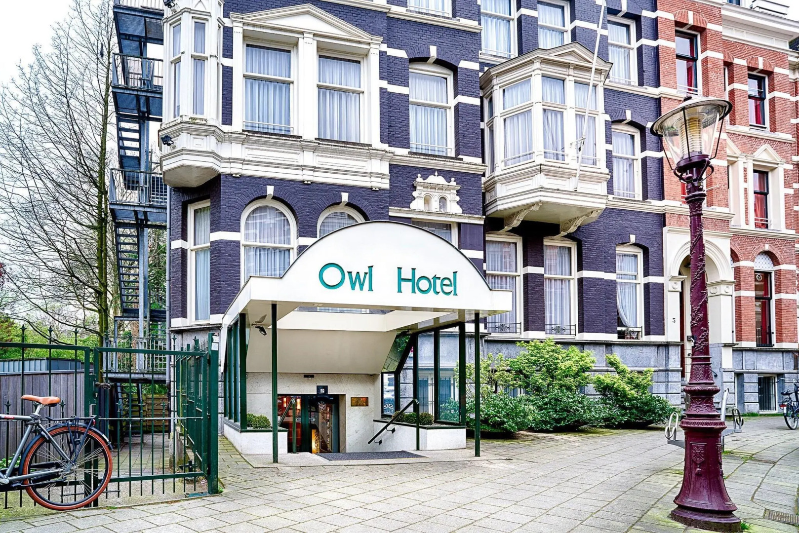 Photo - Owl Hotel