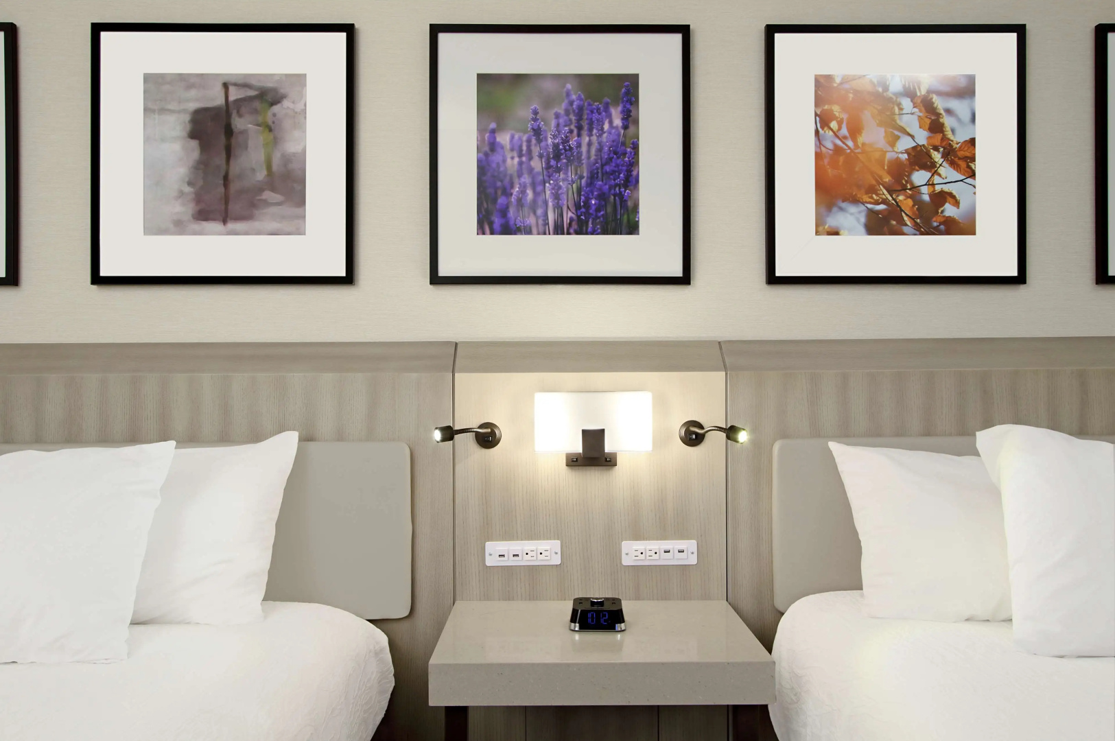 Foto - Hilton Garden Inn Columbus-University Area