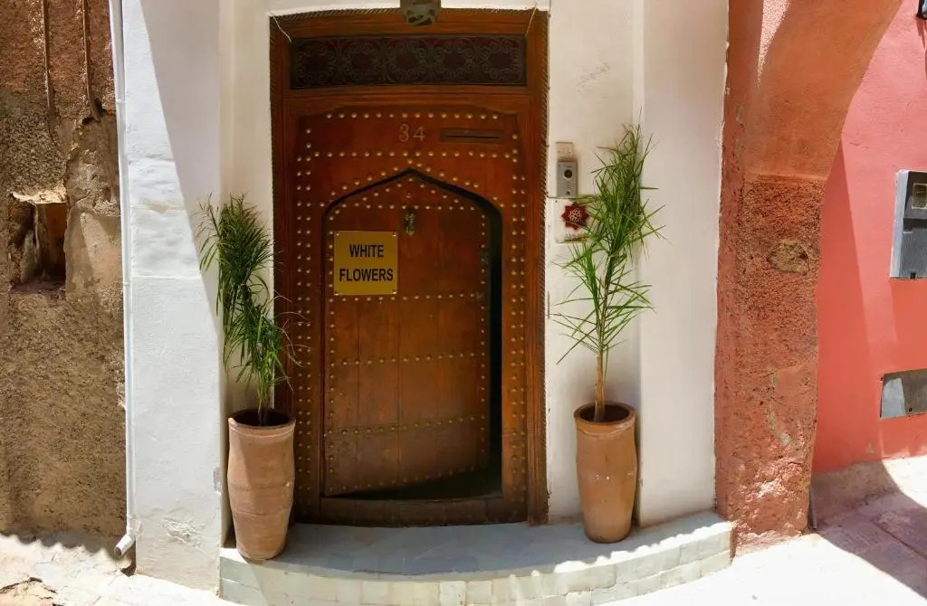 Photo - Riad white flowers