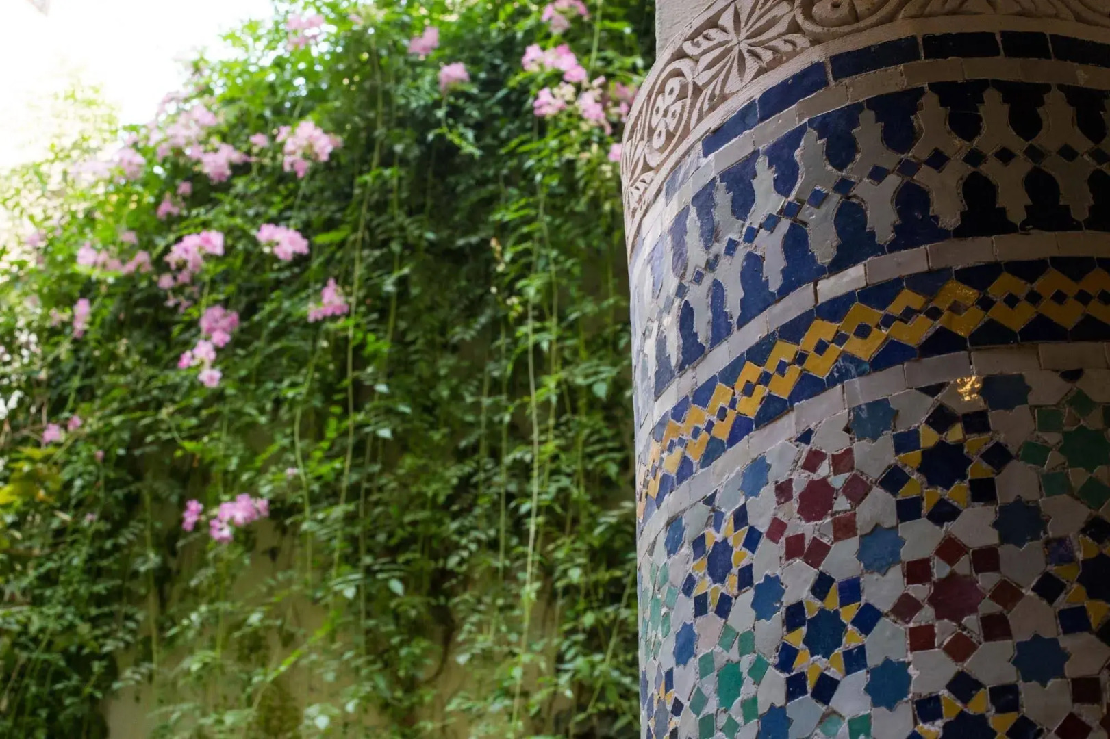 Foto - Riad Jardin Chrifa