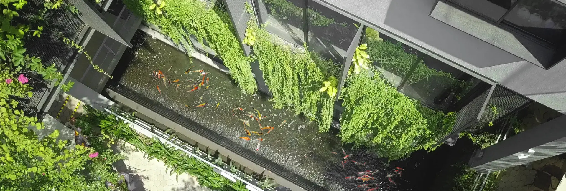 Foto - BLESSED Hotel